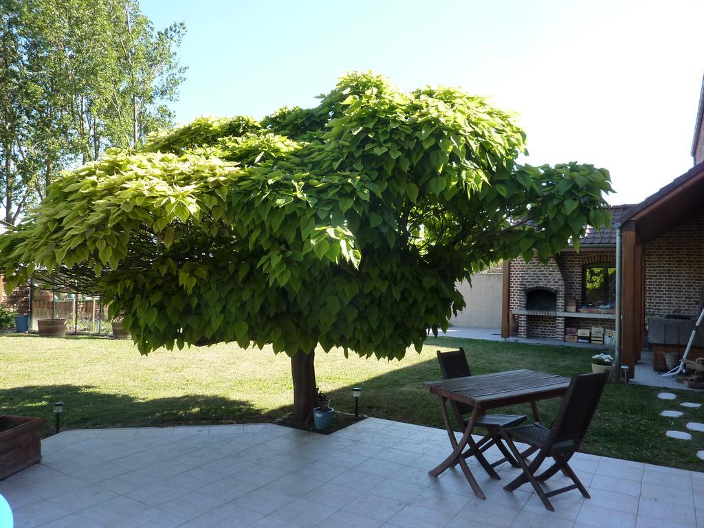 La Parenthese Villa La Couture  Exterior photo